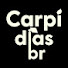 yfgUXt2cBYQ-channel-avatar-Carpi dias br