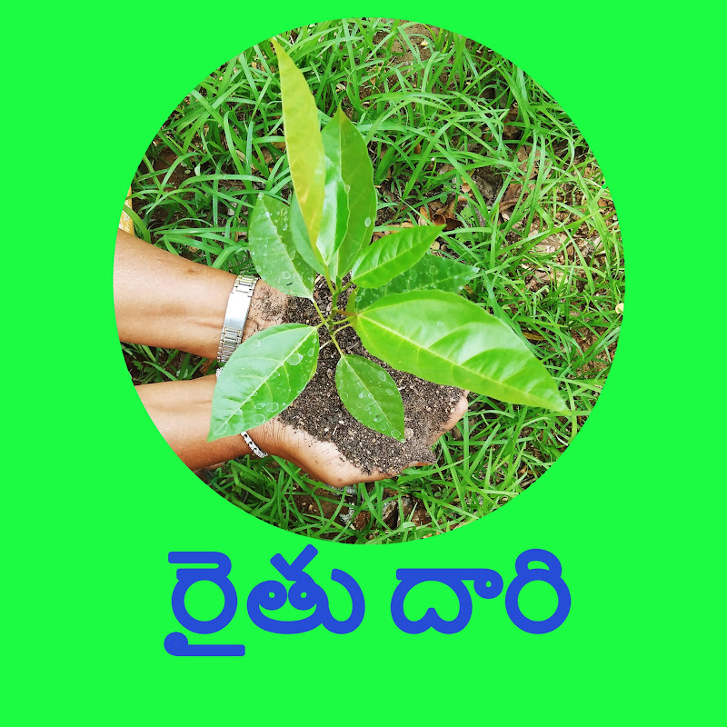 Raitu Daari