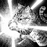 hn7fGkUoopI-channel-avatar-红中哥