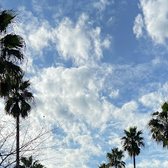 userアイコン画像