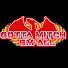 BDsvQxleIcU-channel-avatar-Gotta Mitch Em All