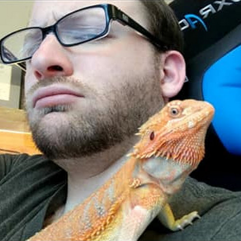 The Reptile Professor