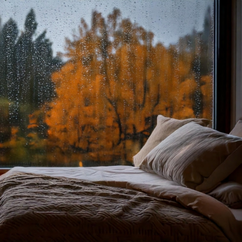 Rainy & Bedroom