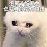 2j6tR_ZTBGc-channel-avatar-11区的老霖