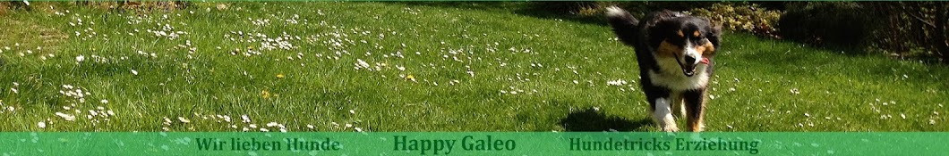 Happy Galeo YouTube 频道头像