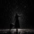 JYth_rvVhus-channel-avatar-Silent Maple Rain