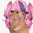 brDqku8aXWU-channel-avatar-Pink Hamster
