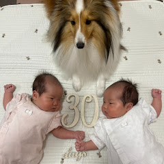 犬と双子vlog