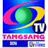 fp3h711NEjw-channel-avatar-Tangsang onlineT.v