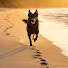 8LYmPmHV_I4-channel-avatar-Hearts with Paws