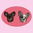 tn27XJnM_Kg-channel-avatar-뿌이뿌이