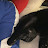 @312dasbkilla's avatar