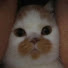 ty_wvJSb2xk-channel-avatar-速通八达号