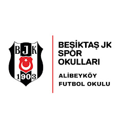 Beşiktaş Alibeyköy Futbol Okulu