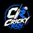 rgvRzfPMfAM-channel-avatar-Cricky Raju