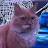 @Johnathonoppel22's avatar