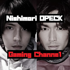 こんなもん誰が見るねんゲーム実況【Nishimori Opeck Gaming】