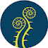 cvPoKGIx5AA-channel-avatar-Plants Nouveau