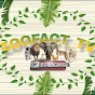 ZOOFACT_TV logo