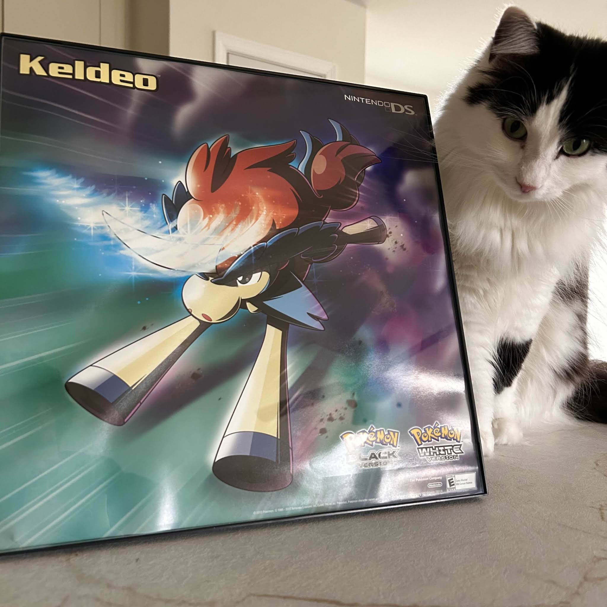 Post from Kevdog