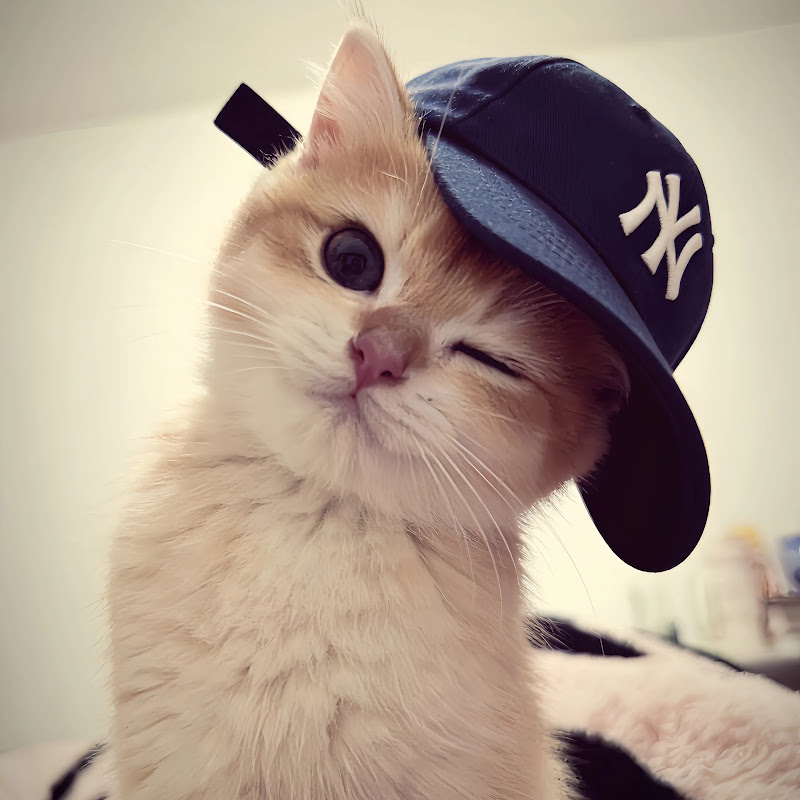 笑いを届ける人