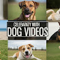 Dog Videos logo