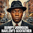 wDnsTotKp8I-channel-avatar-Bumpy Johnson: Harlem's Godfather