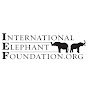 International Elephant Foundation Avatar