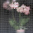dp39V8UsIX8-channel-avatar-딸기ddalgi
