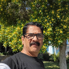 Ravishankar Suryanarayana