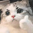 @shiroii6932's avatar