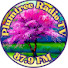 aFsI3XYt2K0-channel-avatar-PlumtreeRadio.TV