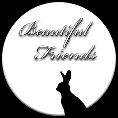 Beautiful Friends - Let's study Japanese!アイコン画像