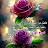 @Nawras-u1p