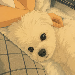 망윤