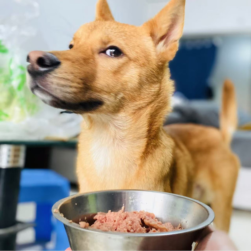 傻波's Rural Life in China