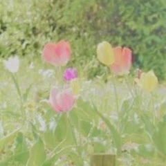 ローコスト新築からはじめる*diy*アイコン画像