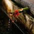 kby_fNgJuoI-channel-avatar-Wander Japan
