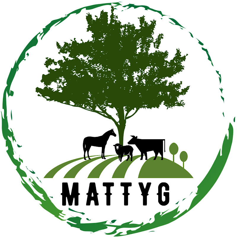 MattyG
