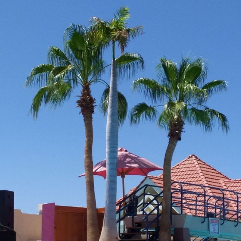 Мир на Позитиве 