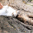 NhxFDzPPT0w-channel-avatar-WetandMuddy