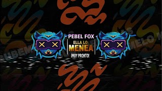 «Pebel fox» youtube banner