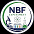 80a2u2Jw8c4-channel-avatar-NBF Experiment