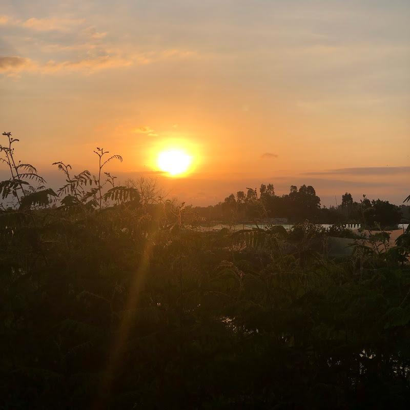 Đi Rừng Cắm Trại