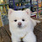 @씩씩이-c5r
