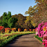 M-RSWrVnnZ4-channel-avatar-BEAUTIFUL LIFE BROADCAST