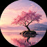 JfmTTRd0z2Y-channel-avatar-日本の復讐劇