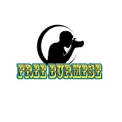 Free Burmese