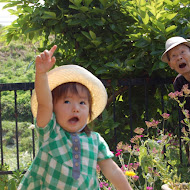 HIYORI KATADA - Topic