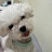 @또랑Ol-f2w